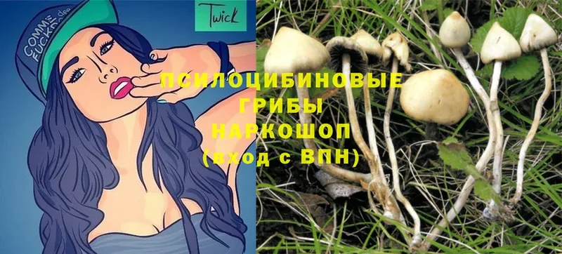 Галлюциногенные грибы Magic Shrooms  Лодейное Поле 